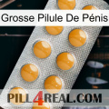 Grosse Pilule De Pénis levitra1